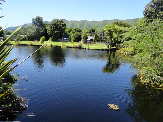 Nga Manu, Kaipiti Coast, Neuseeland