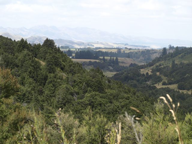 Südinsel Neuseeland, vor Kaikoura