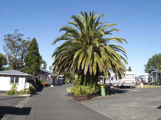 Auckland Kiwi Holiday Park