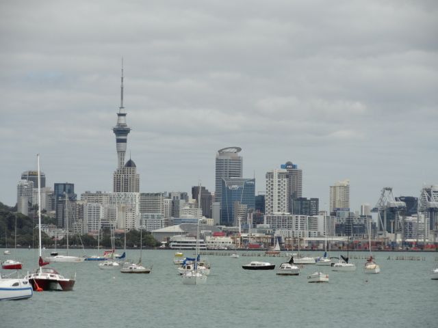 Auckland Skyline